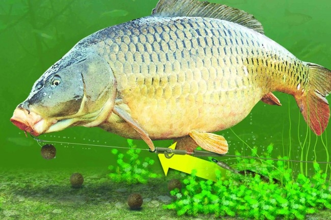 Lead Clip Action Pack